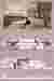 Sectional Perspective