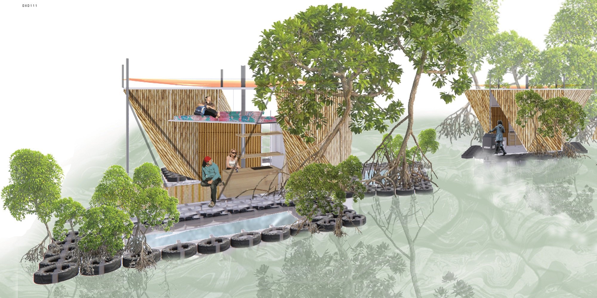 The Mangrove Society