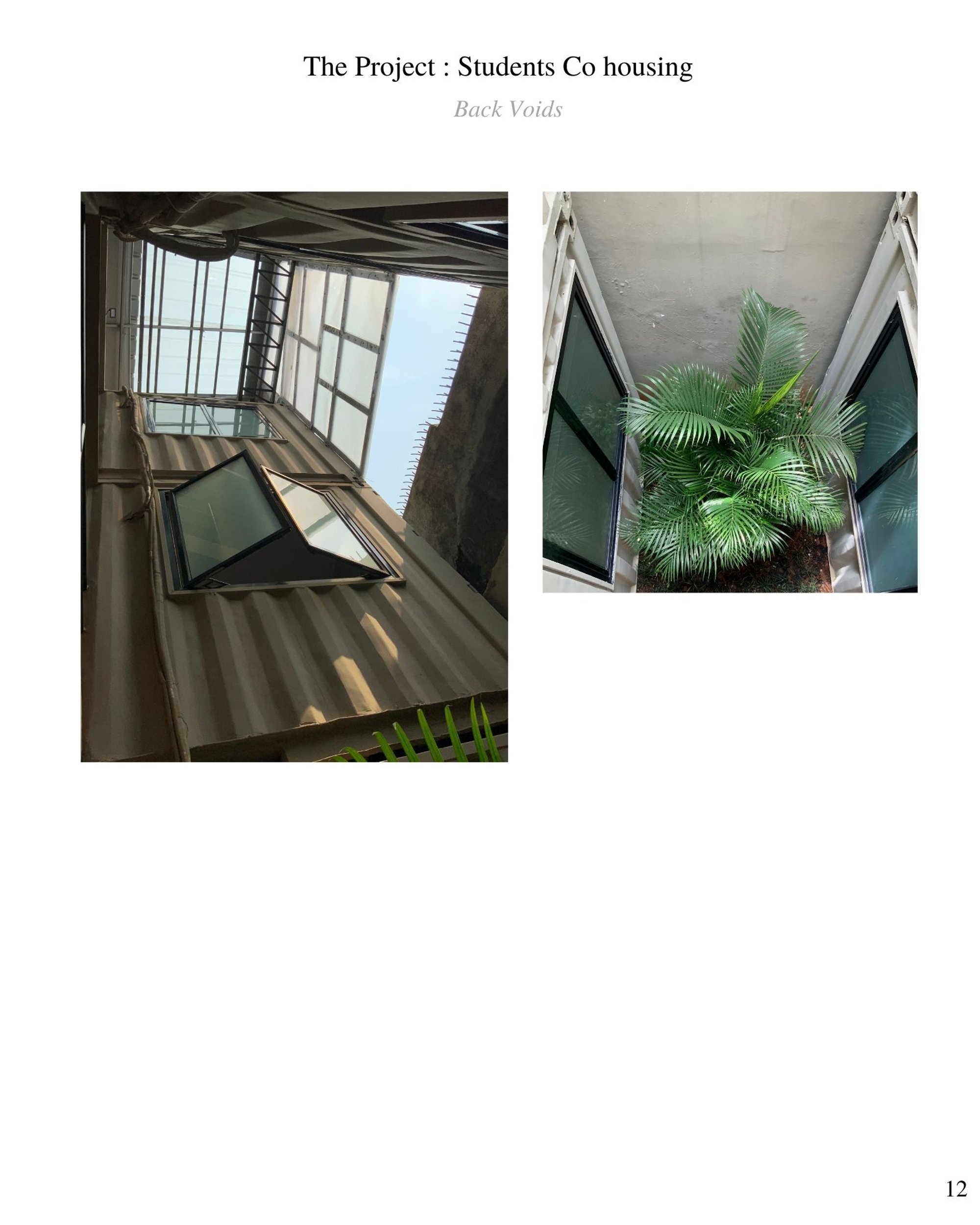 Image 12