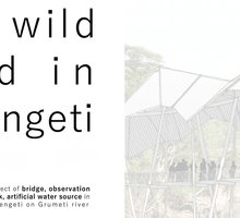 Tanya Prevezentseva work 4