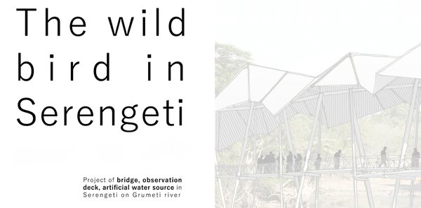 The wild bird in Serengeti