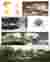 Effect expression