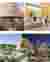 Renders