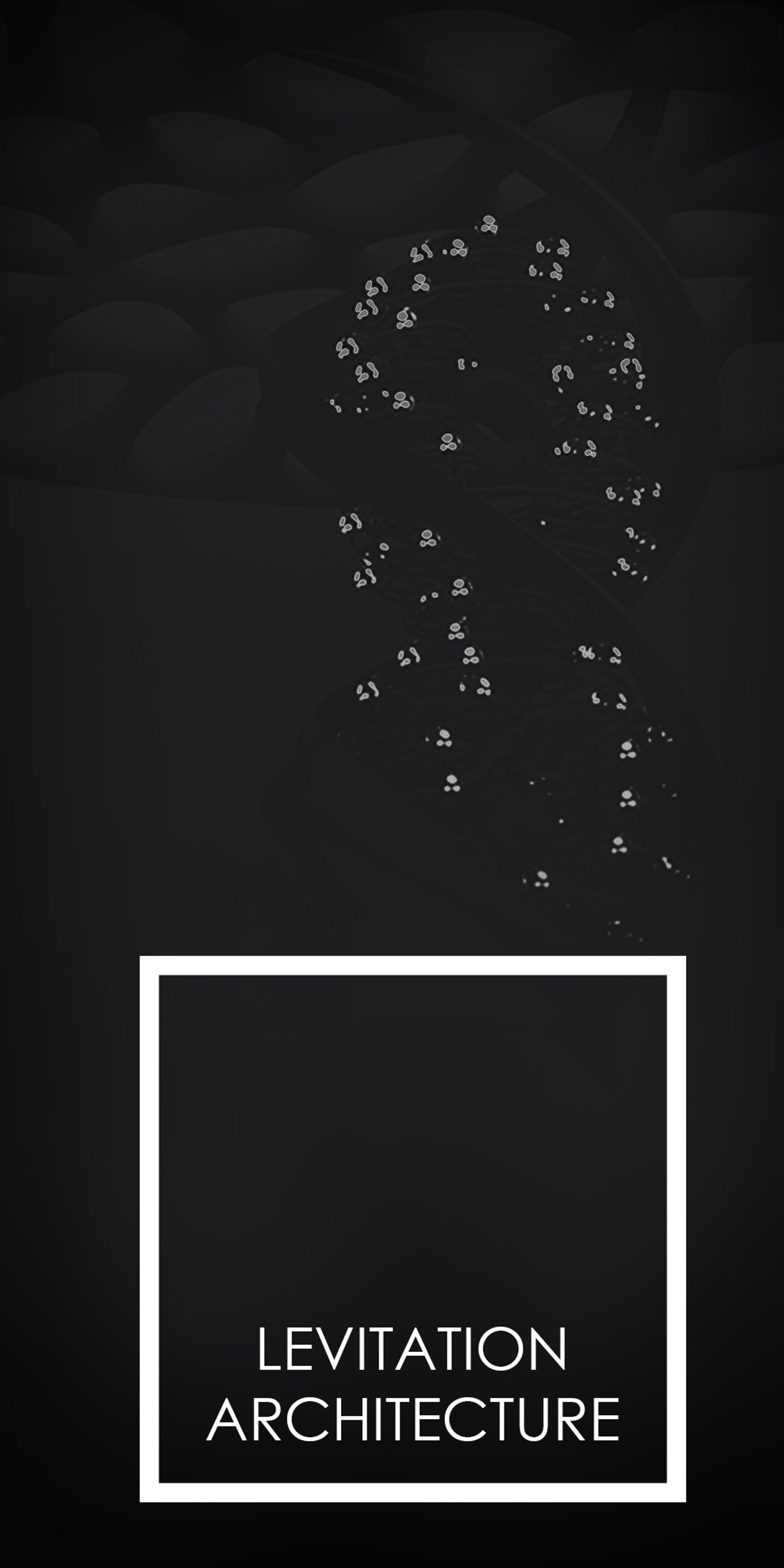 LEVITATION ARCHITECTURE