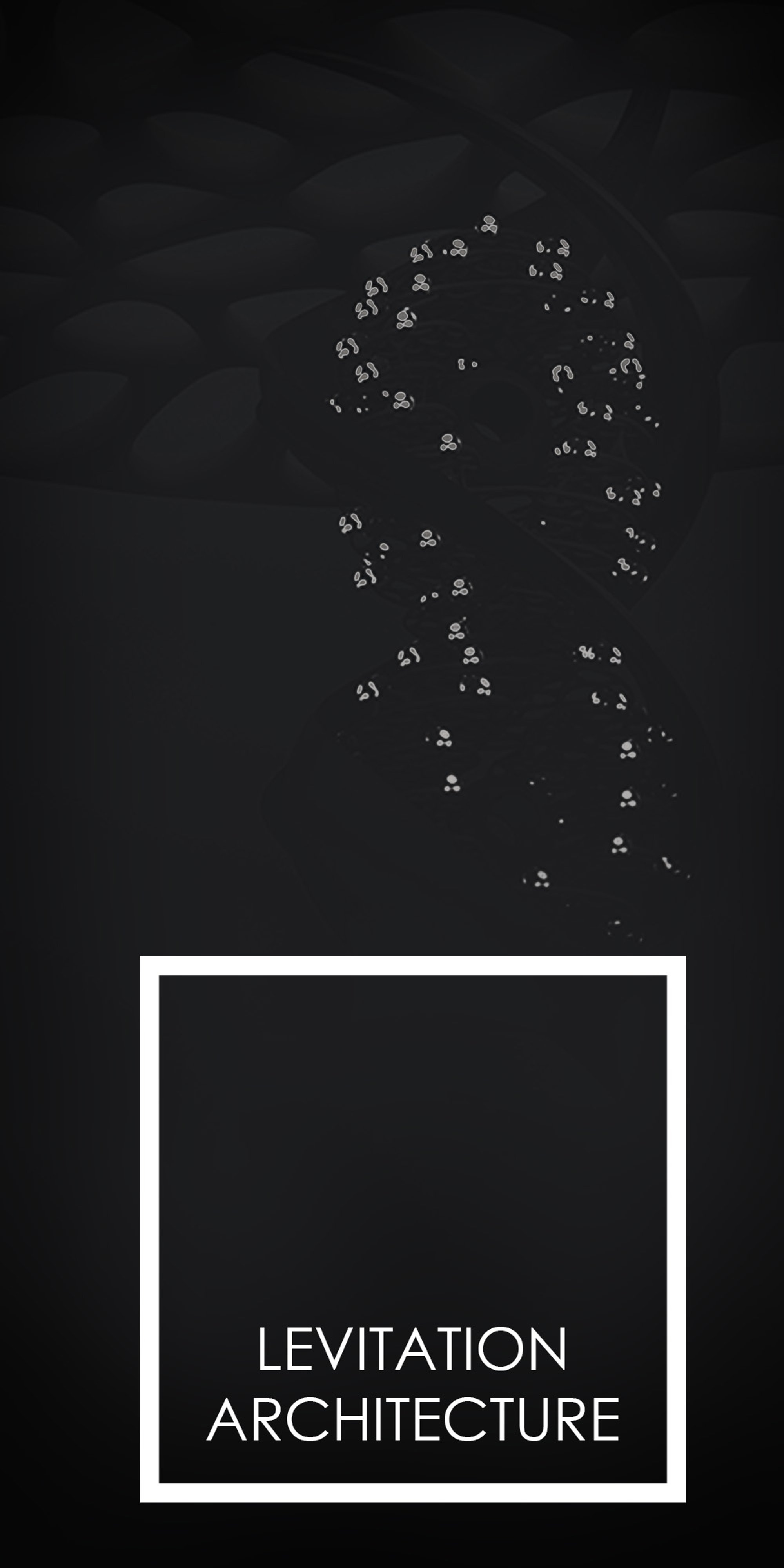 LEVITATION ARCHITECTURE