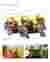 The Bunch _Sheet 03