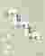 Layout plan_ground floor_crisscross