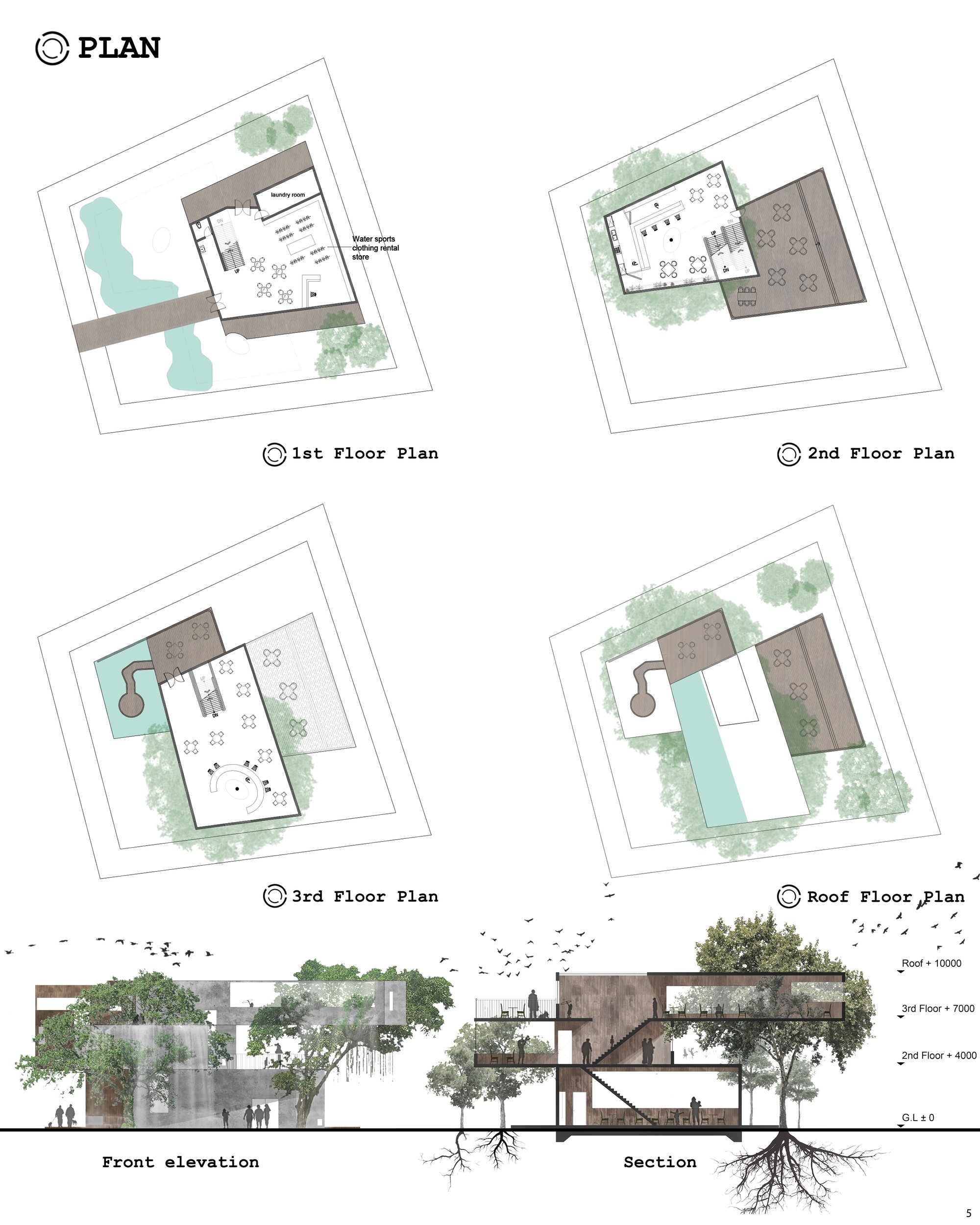 Image 5