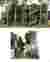 PERSPECTIVE VISUAL