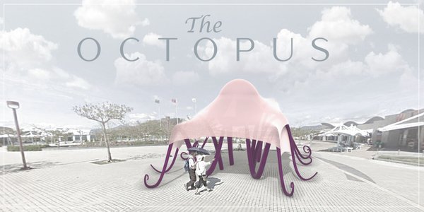The Octopus