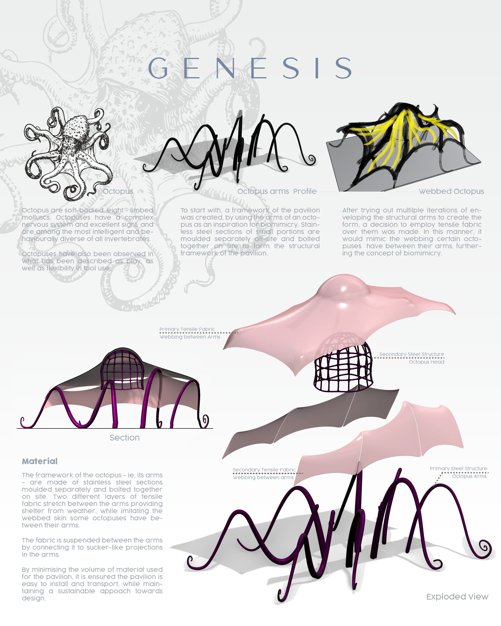 Genesis