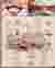 Study of environmental treatments