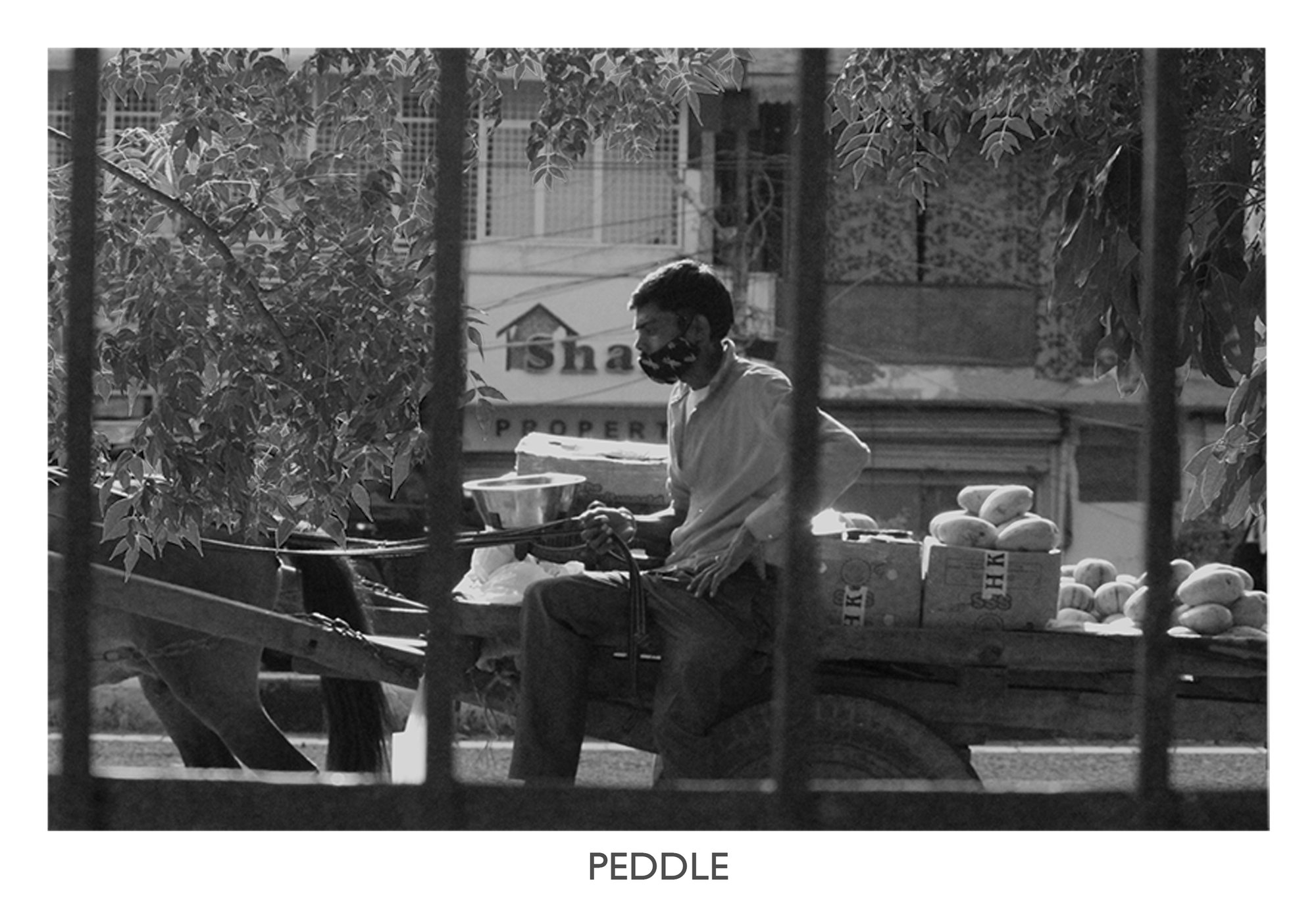 PEDDLE