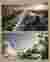 3D views_RevitaLine