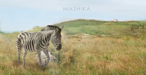 Mashika