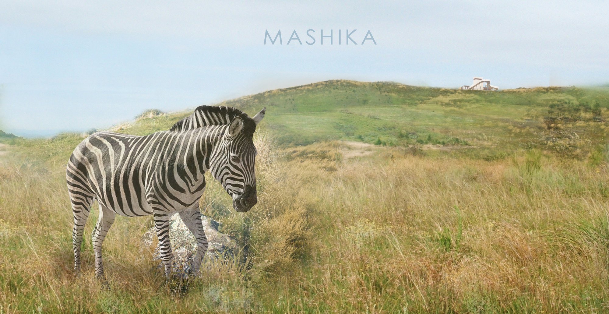Mashika