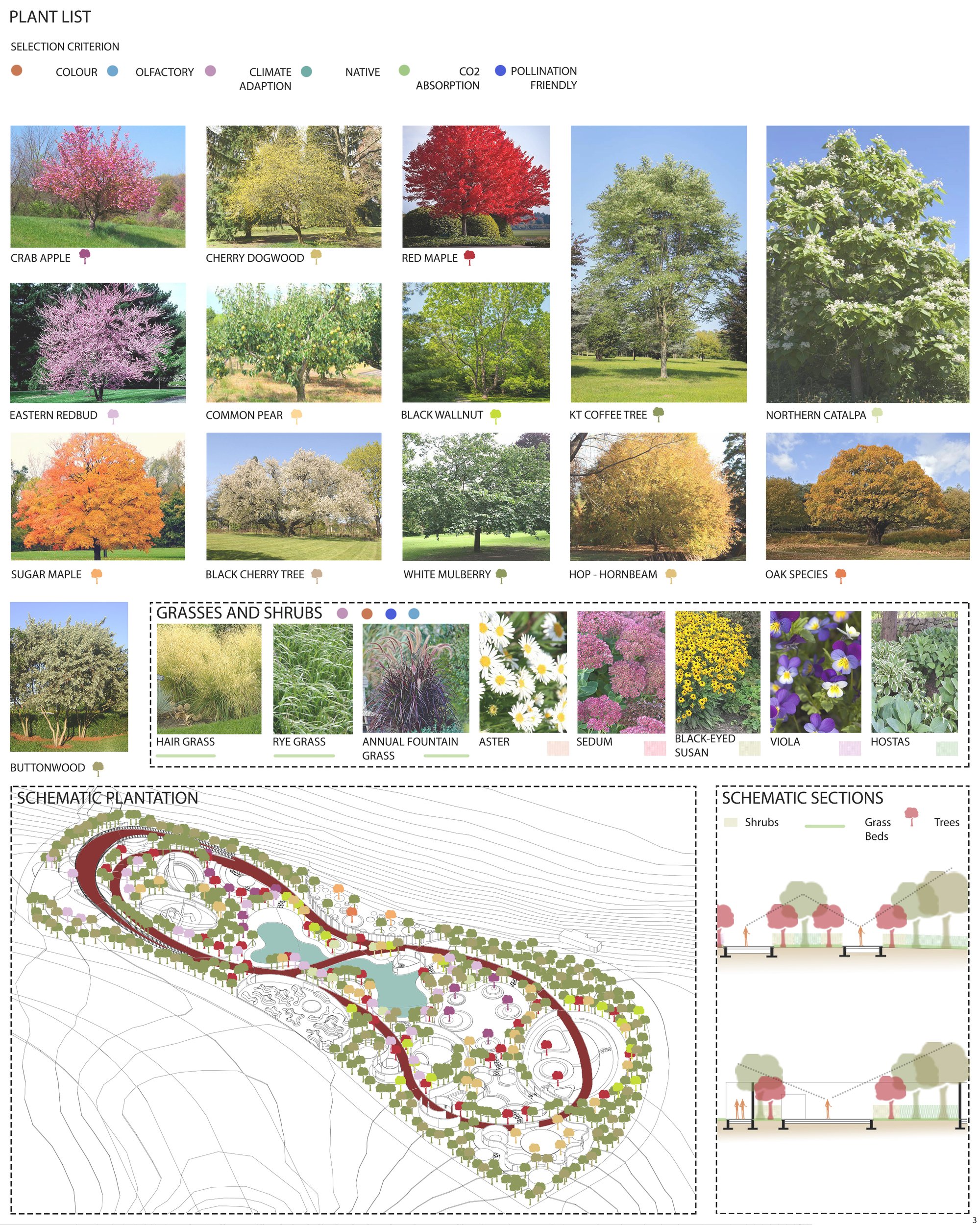 sheet 3
