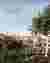 A new kind of forest