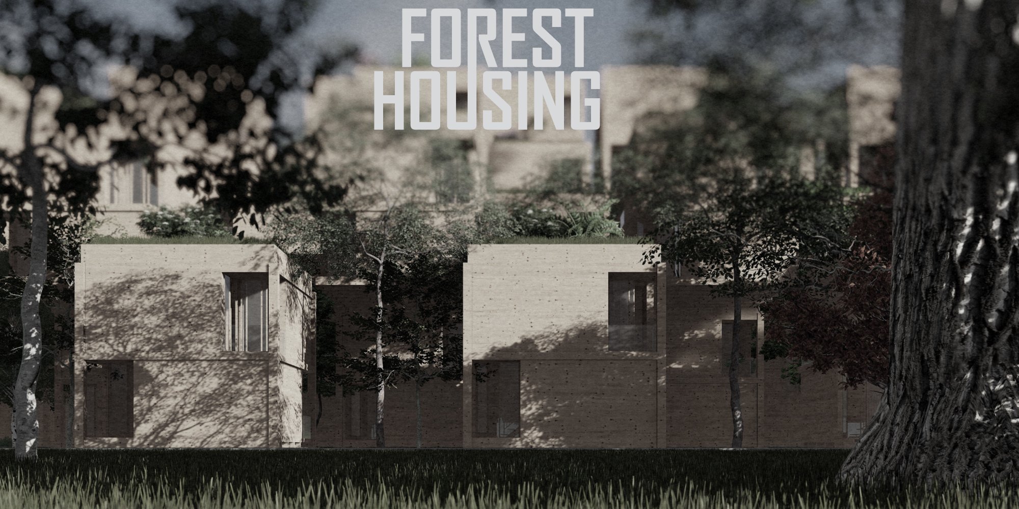 Forest Housing