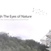 Through the Eyes of Nature
