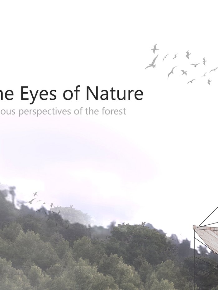 Through the Eyes of Nature