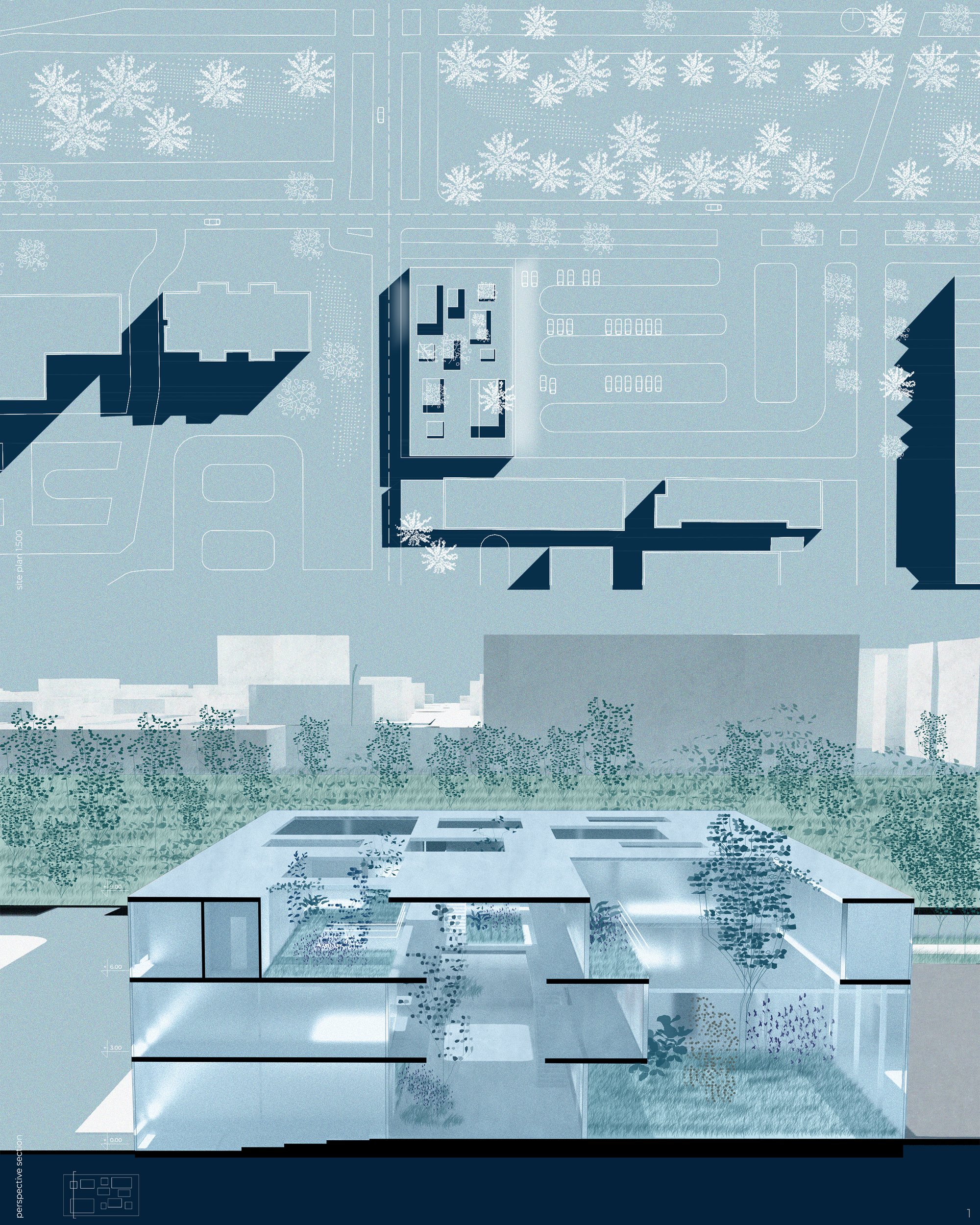 Site plan + section