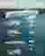 FARMING + DESALINATION