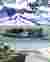 RENDERS