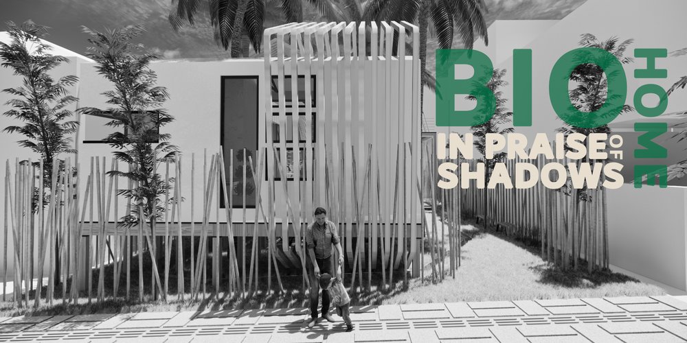 In Praise of Shadows