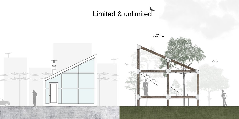 limited and unlimited