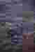 SCENE:6
