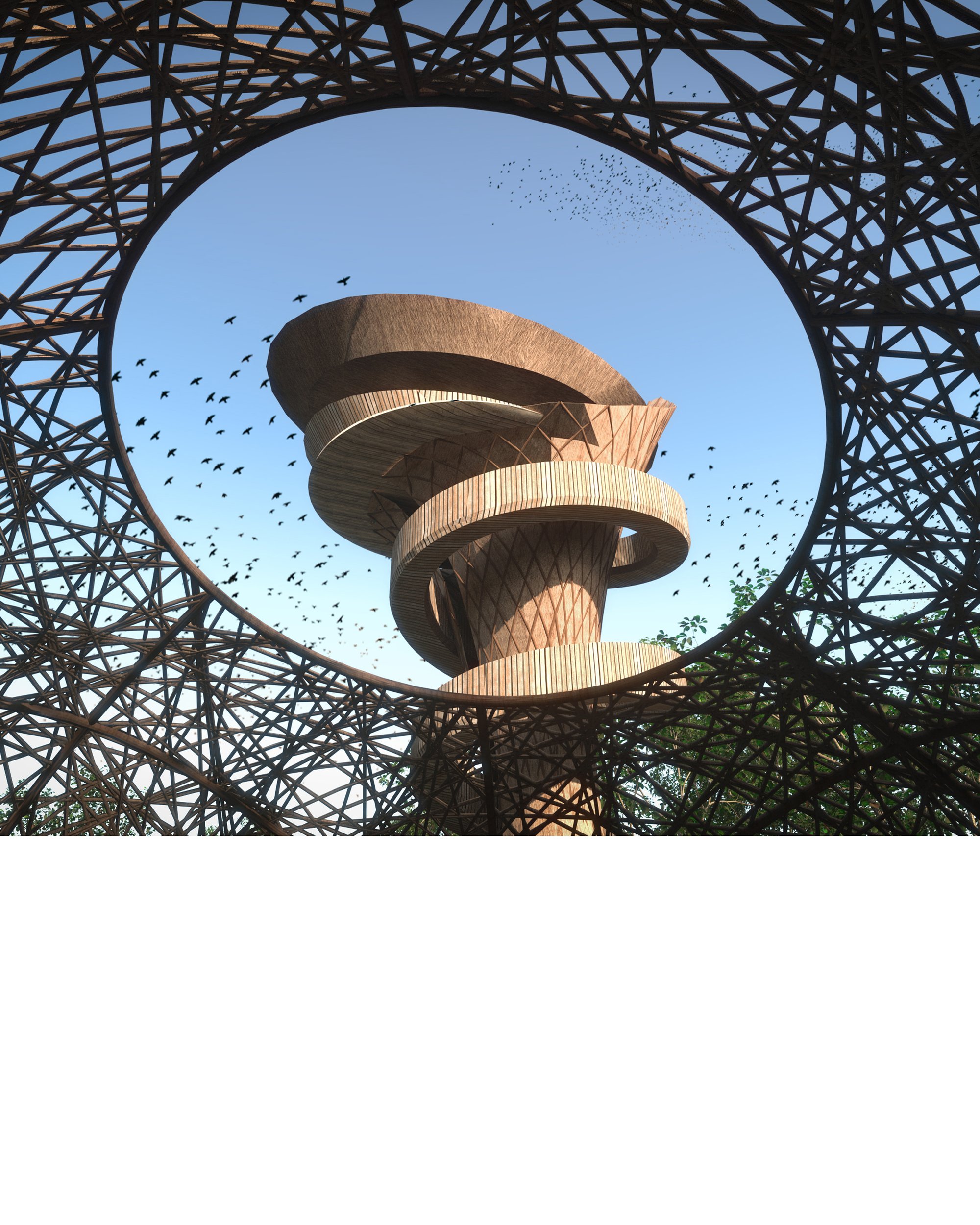 6IMAGE