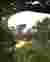 4IMAGE