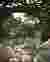 5IMAGE