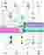 Site plan with exploded axonometry of segments
