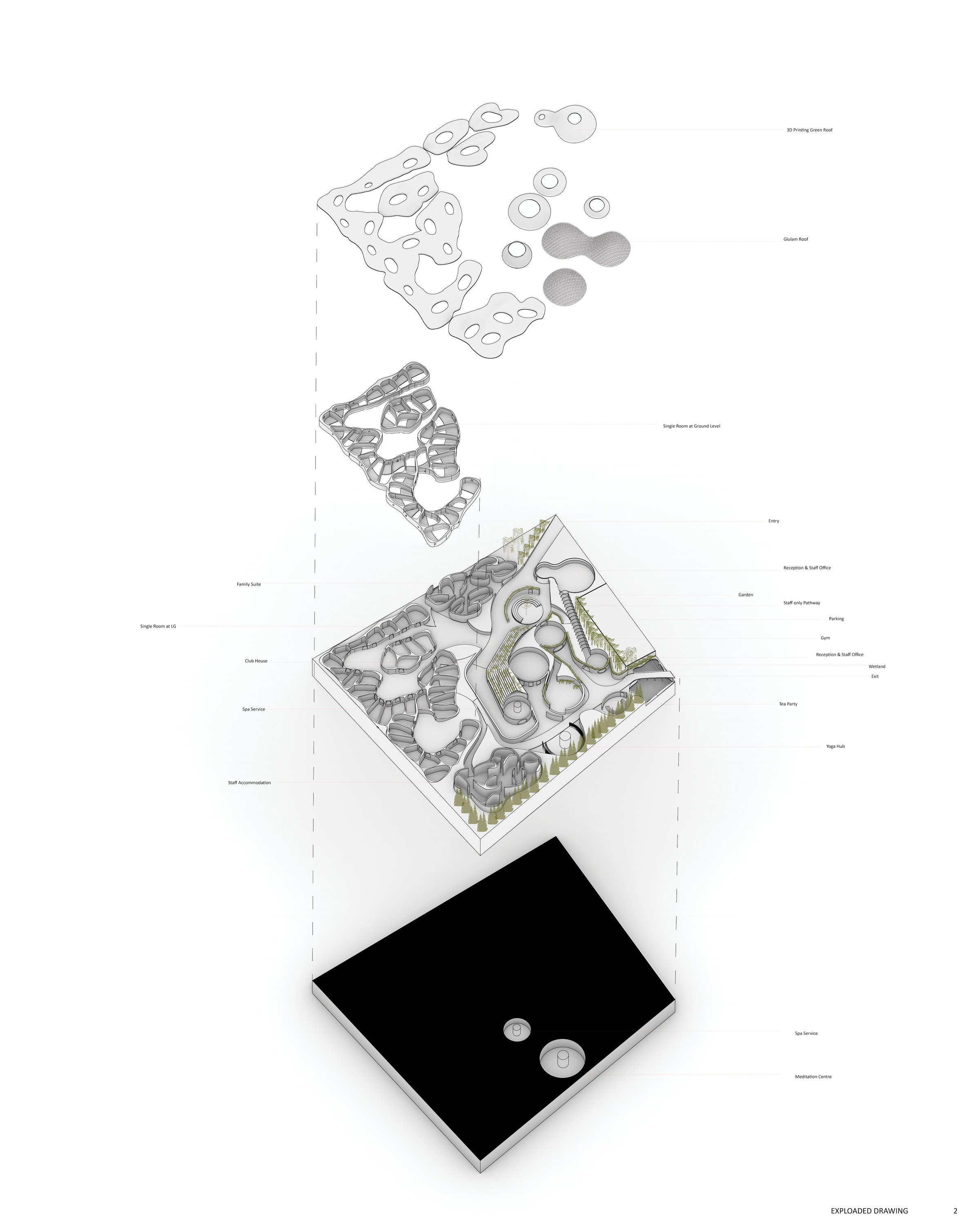 Down the Rabbit Hole