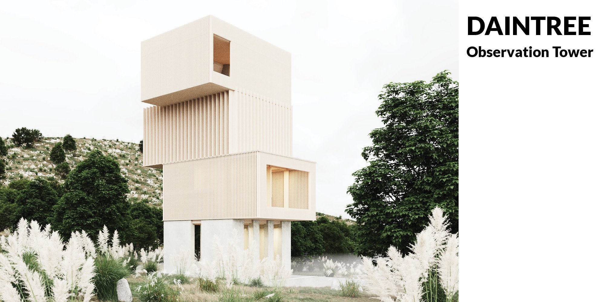 Daintree Observation Tower