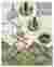 Sheet 4