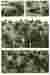 Sheet 3 - 3Ds