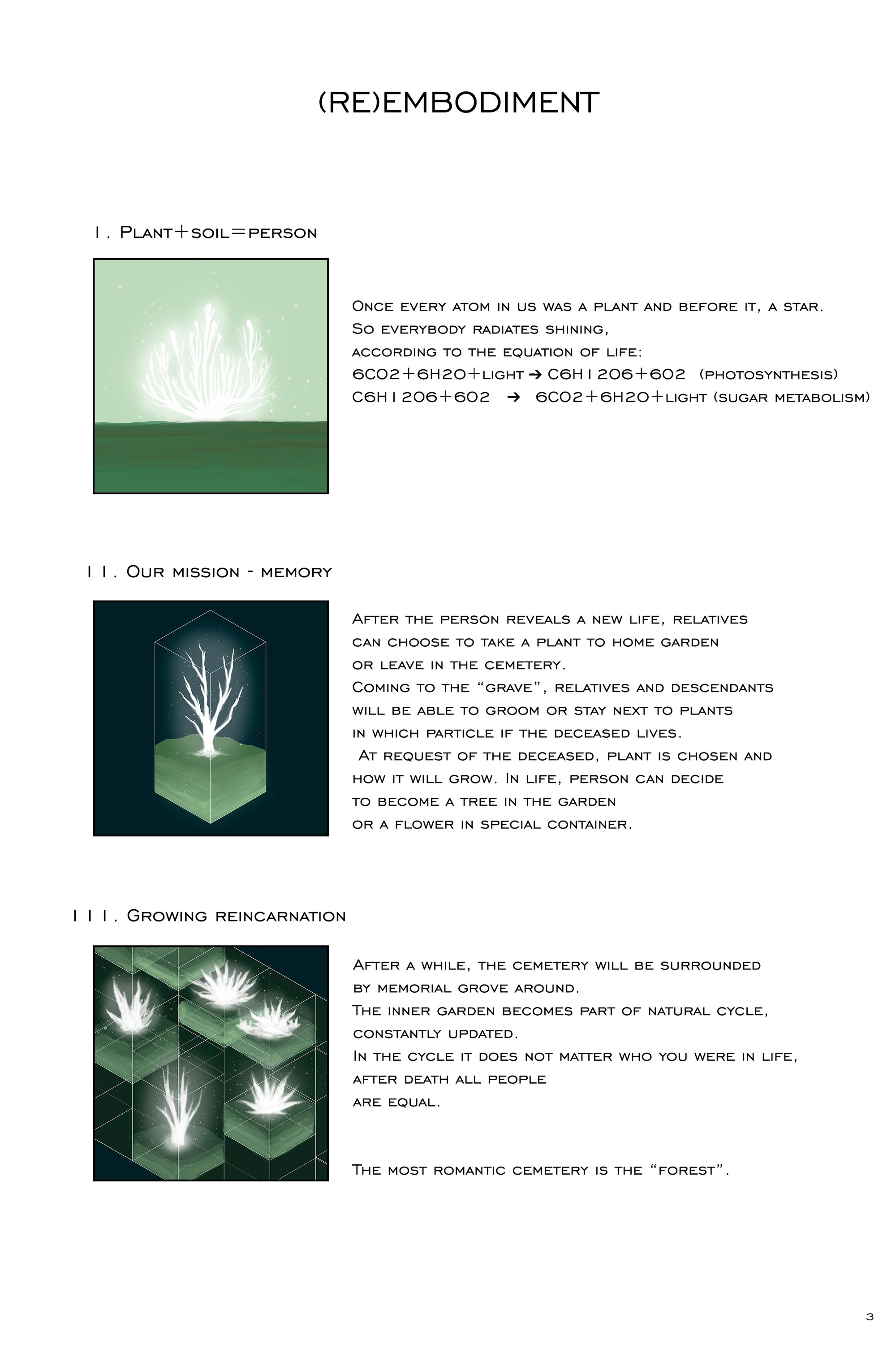 Conception - plants