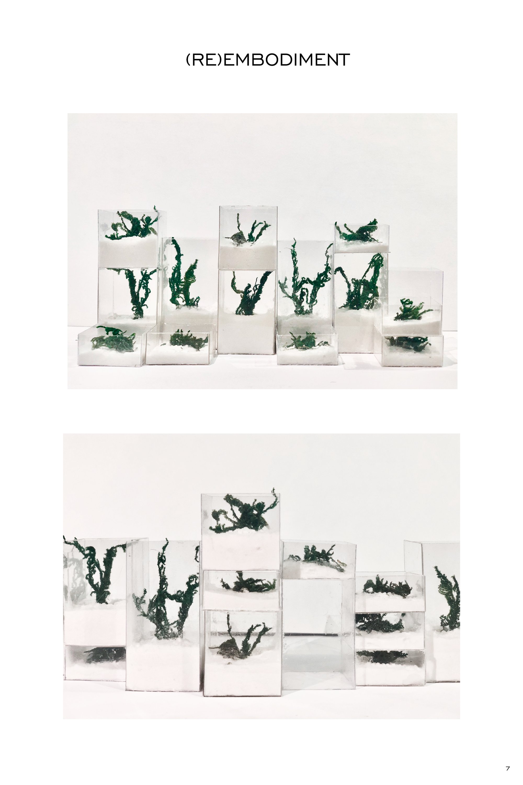 Models
