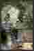 Scene effect map