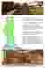 Design Development
