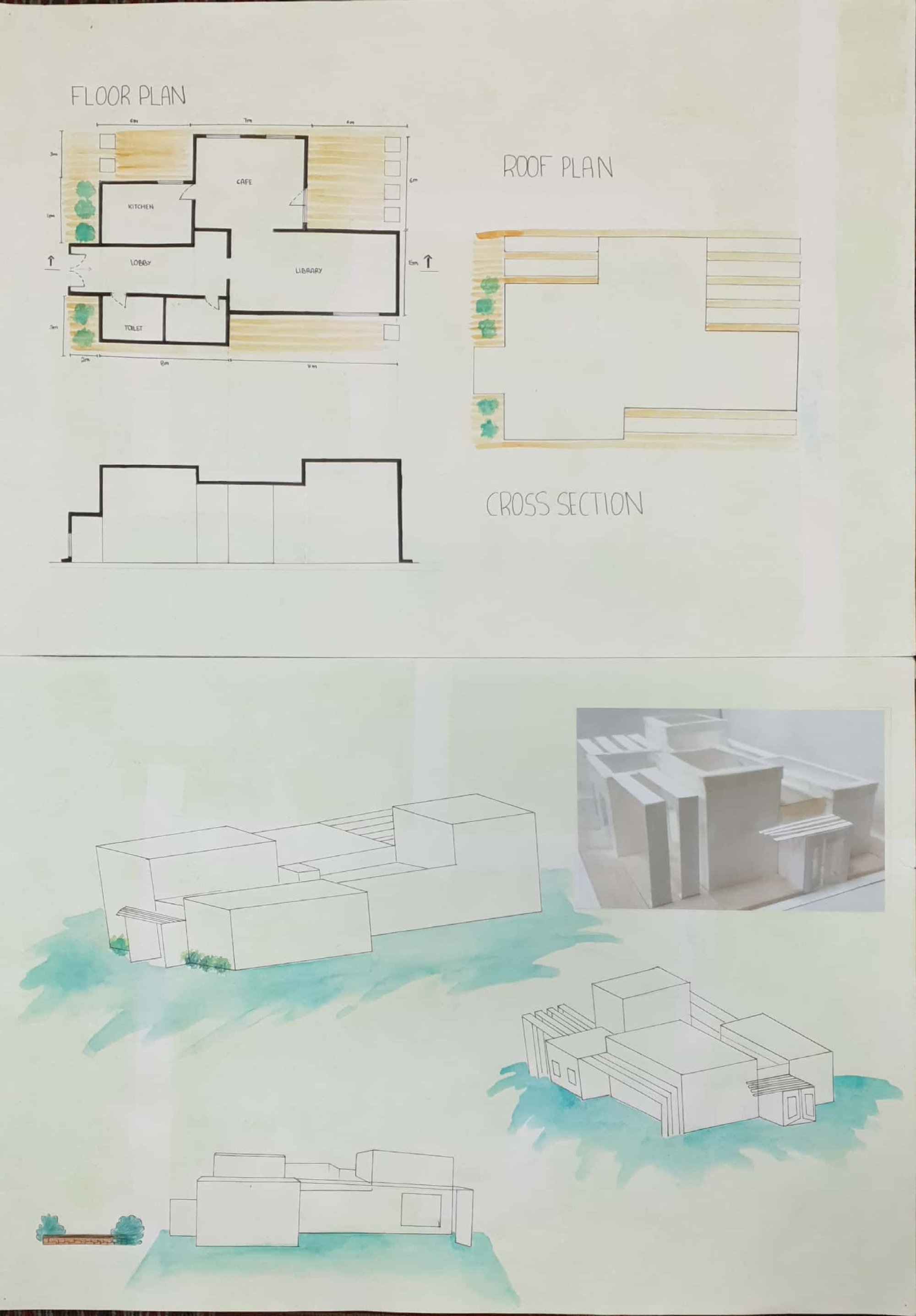 Image 5