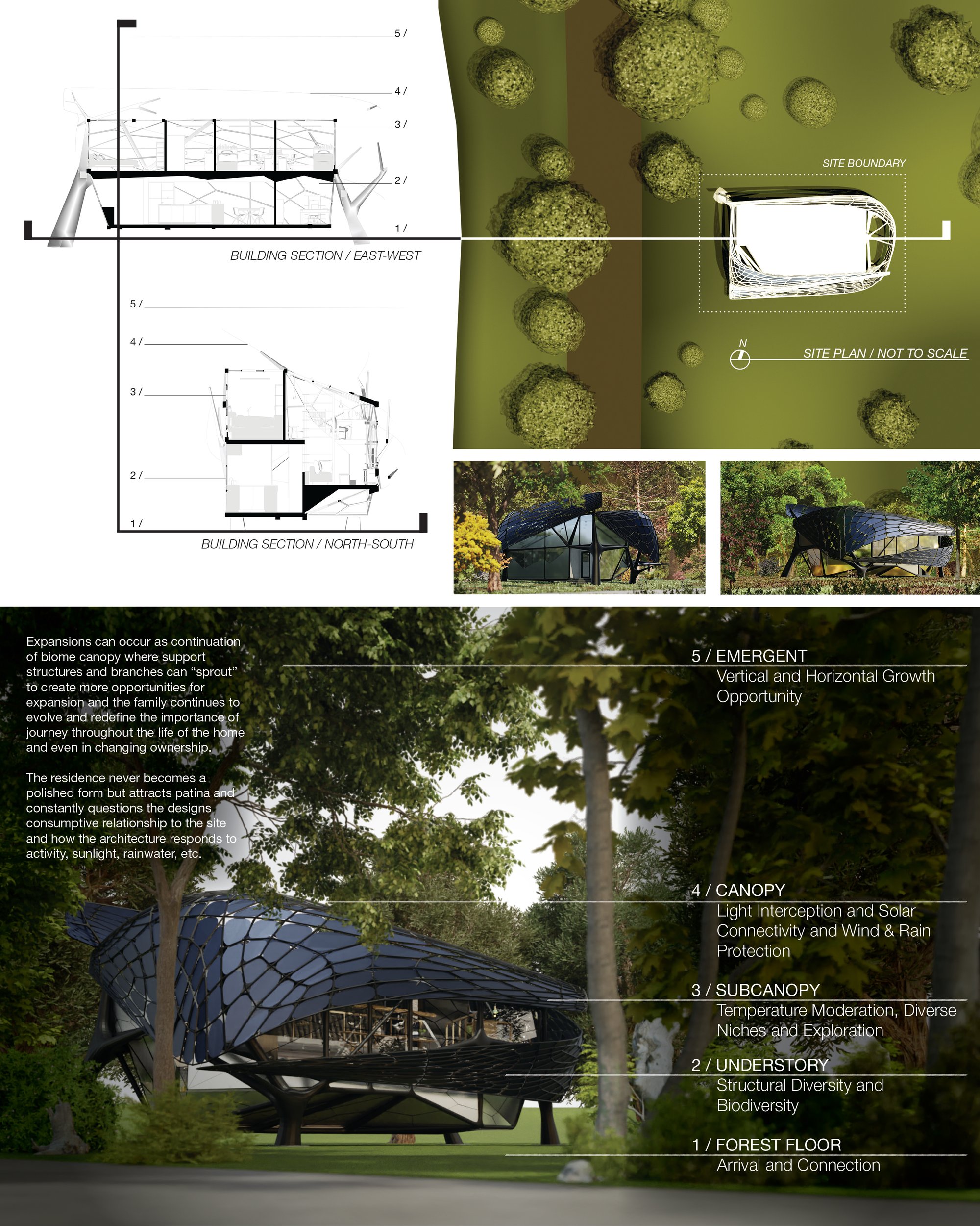EMERGENT / The Picturesque Evolved - Board 2