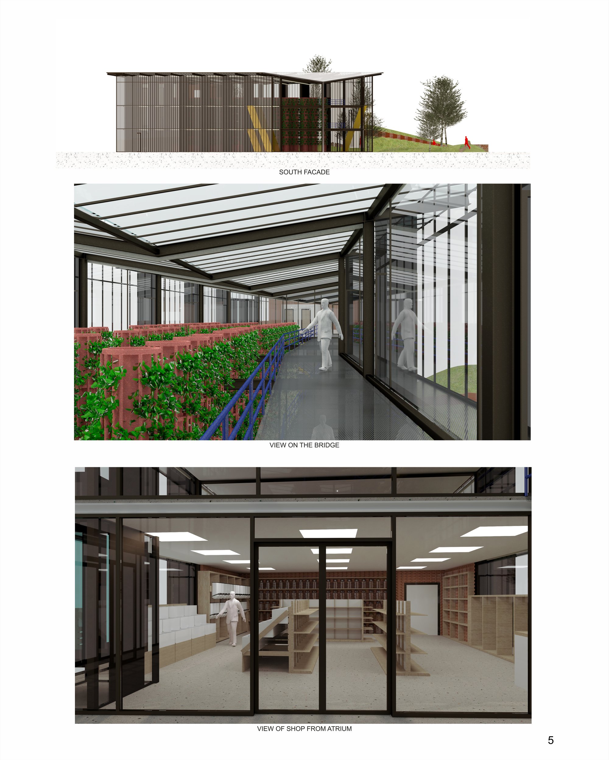 Final view and Renders