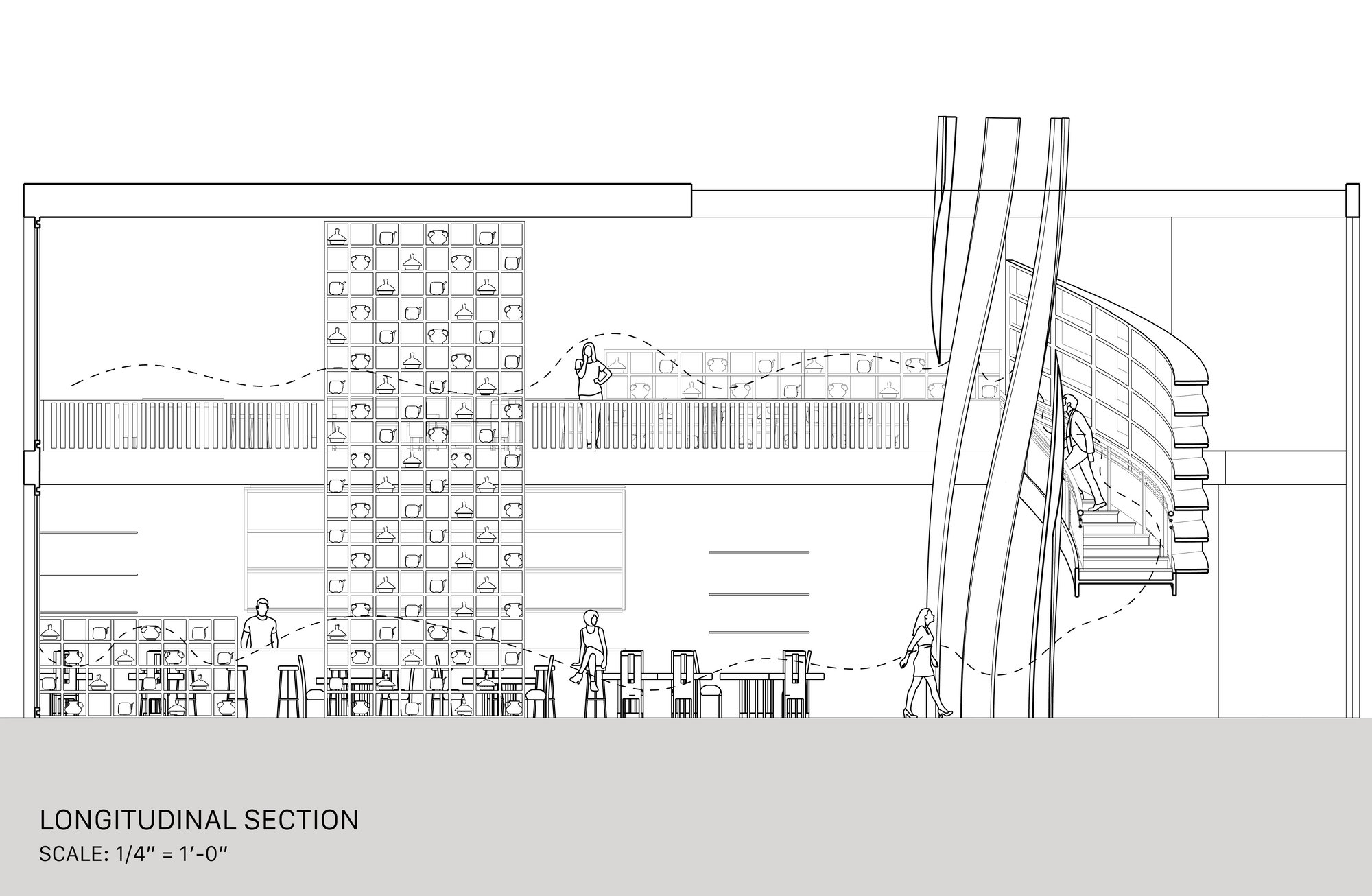 Longitudinal Section