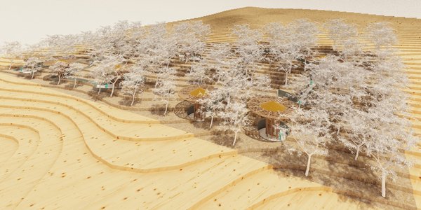 The Arboreal Perspective