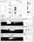 06_Mesoscale Objects Design