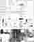 04_Master Plan Design